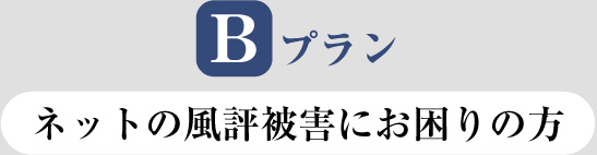 【B プラン】ネットの風評被害にお困りの方